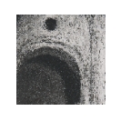 Andrés David Carrara GRAFICA 002